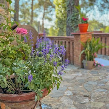 Semiramis Boutique Hotel & Spa Kato Platres Bagian luar foto